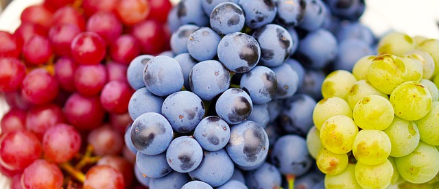 L'histoire viticole de la vallée de la Marne est riche et complexe, comme les vins qu'elle produit